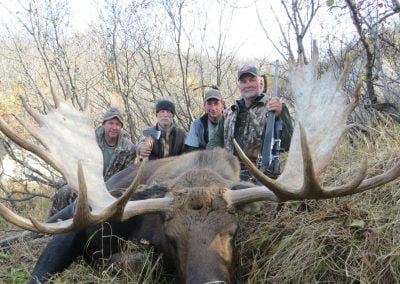 Alaska Range Moose