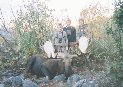 Alaska Range Moose