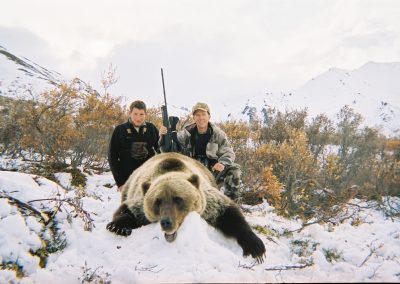 Alaska Range Grizzly