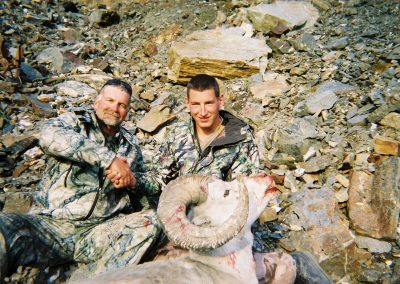 Alaska Range Dall Sheep