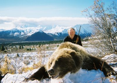 Alaska Range Grizzly