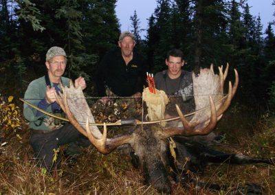 Alaska Range Moose