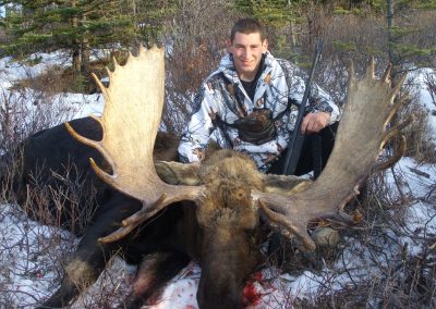 Alaska Range Moose