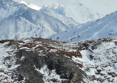 Alaska Range