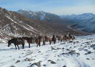Alaska Range