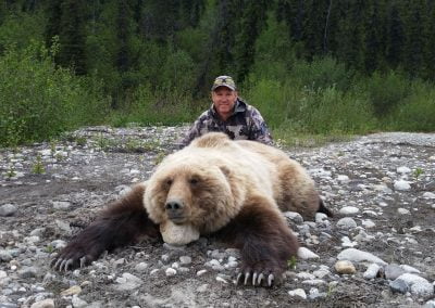 Alaska Range Grizzly