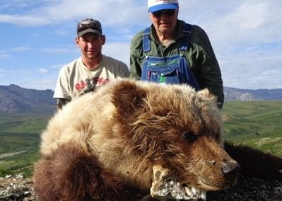Alaska Range Grizzly