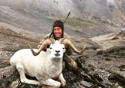 Alaska Range Dall Sheep