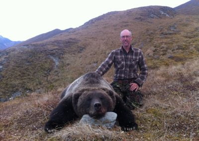 Alaska Range Grizzly