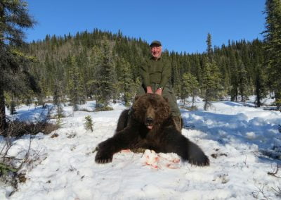 Alaska Range Grizzly