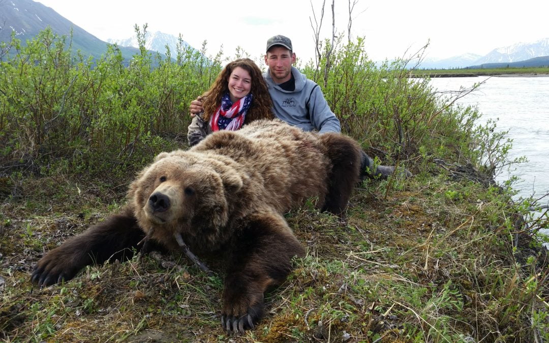 Alaska Range Grizzly