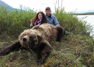 Alaska Range Grizzly