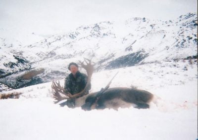 Alaska Range Caribou