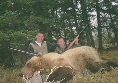 Alaska Range Grizzly