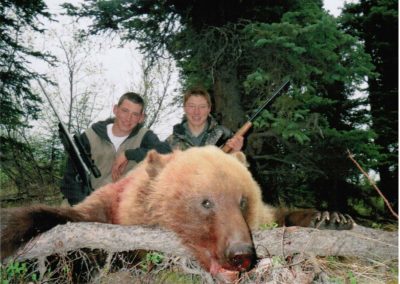 Alaska Range Grizzly