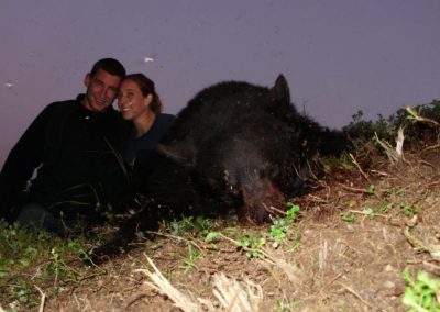 Alaska Range Black Bear