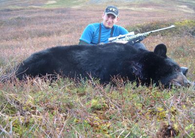 Alaska Range Black Bear