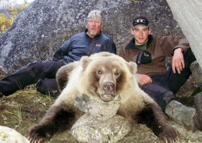 Alaska Range Grizzly