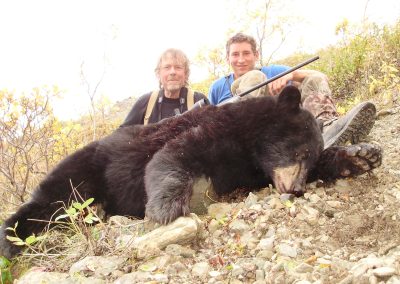 Alaska Range Black Bear