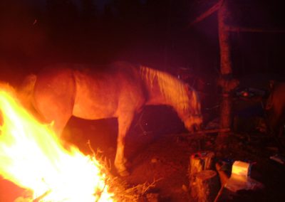Camp Fire