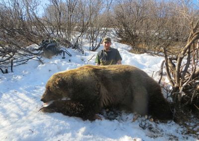 Alaska Range Grizzly