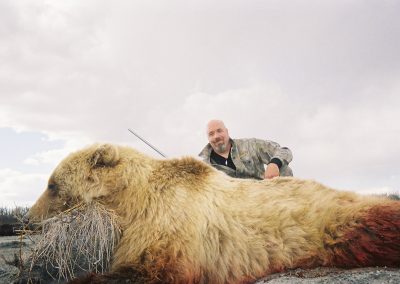 Alaska Range Grizzly