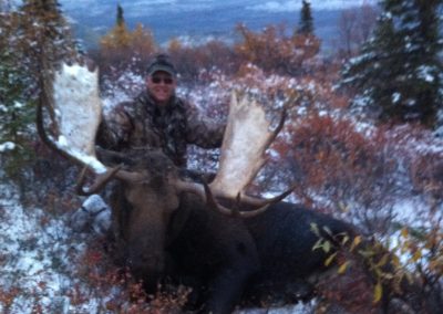 Alaska Range Moose