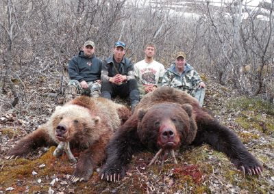 Alaska Range Grizzly
