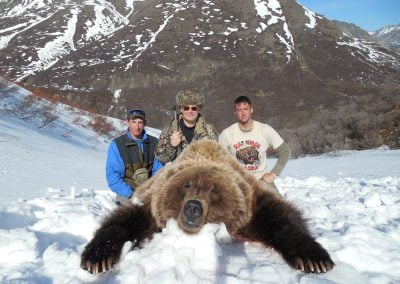 Alaska Range Grizzly