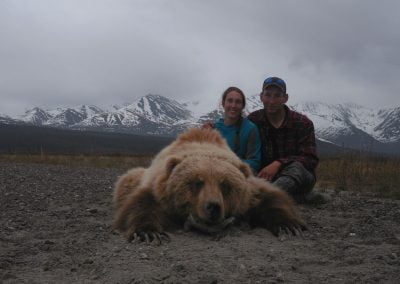 Alaska Range Grizzly