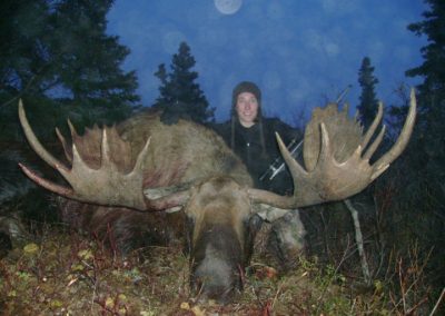 Alaska Range Moose