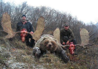 Alaska Range Grizzly