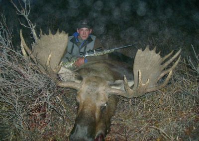 Alaska Range Moose