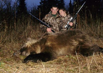 Alaska Range Grizzly