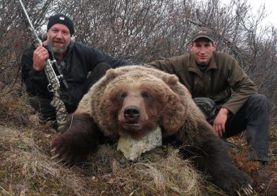 Alaska Range Grizzly