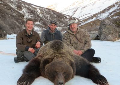 Alaska Range Grizzly