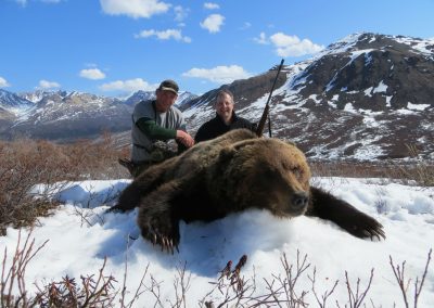 Alaska Range Grizzly