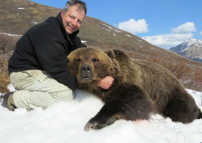 Alaska Range Grizzly
