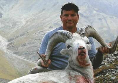 Alaska Range Dall Sheep