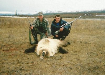 Alaska Range Grizzly