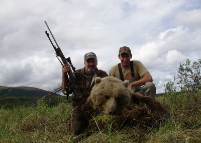 Alaska Range Grizzly