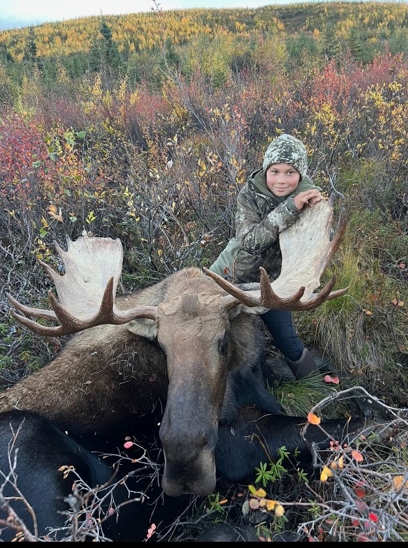 Alaska Range Moose - Alaska Rampage