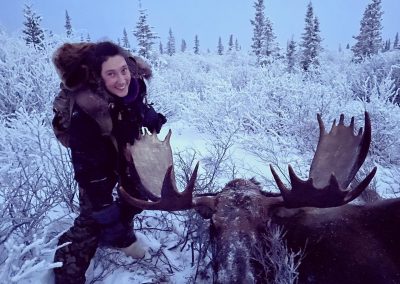 Alaska Range Moose