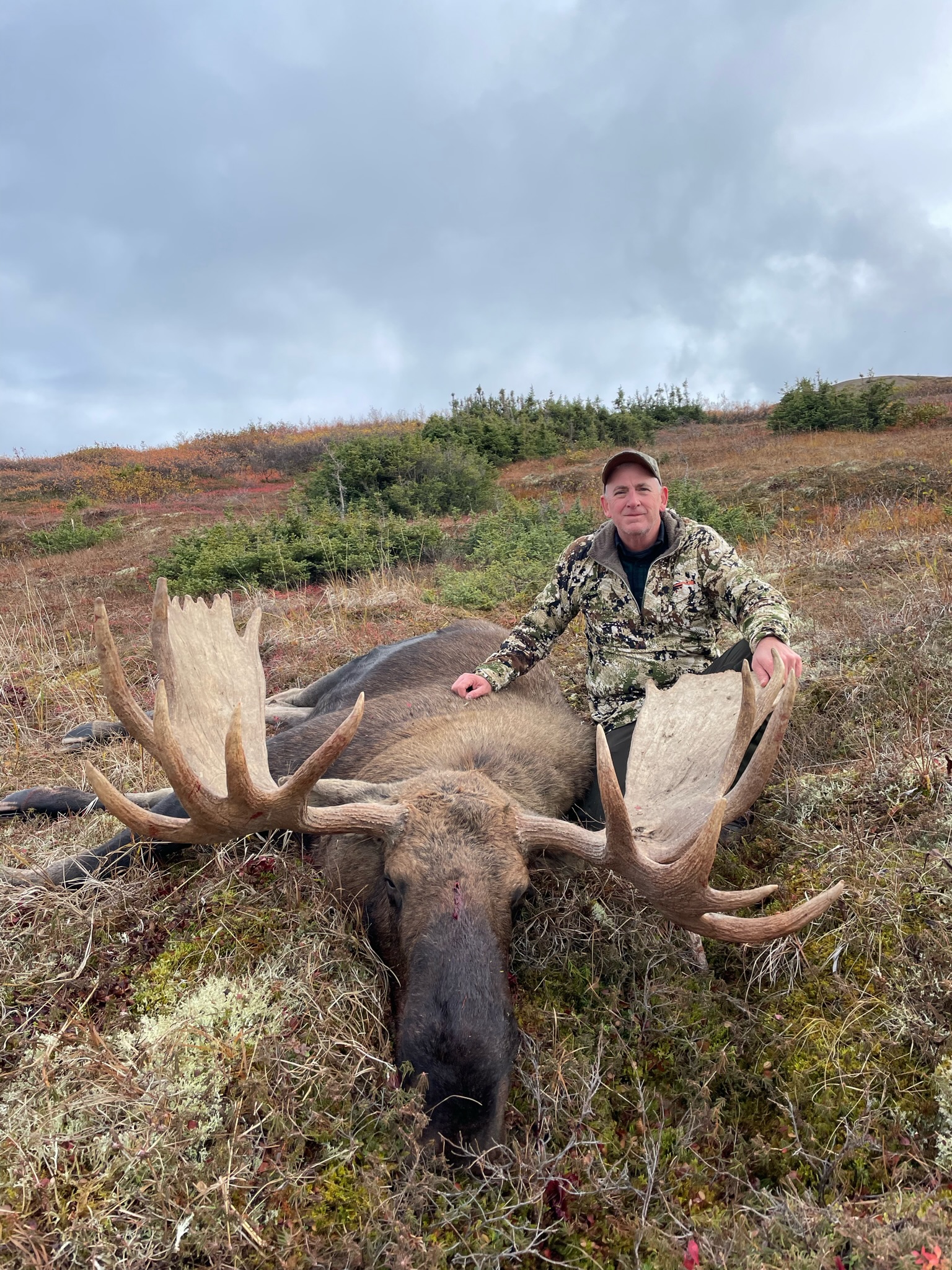 Alaska Range Moose - Alaska Rampage