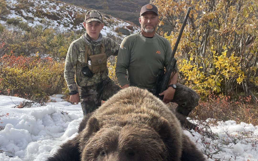 Alaska Range Grizzly