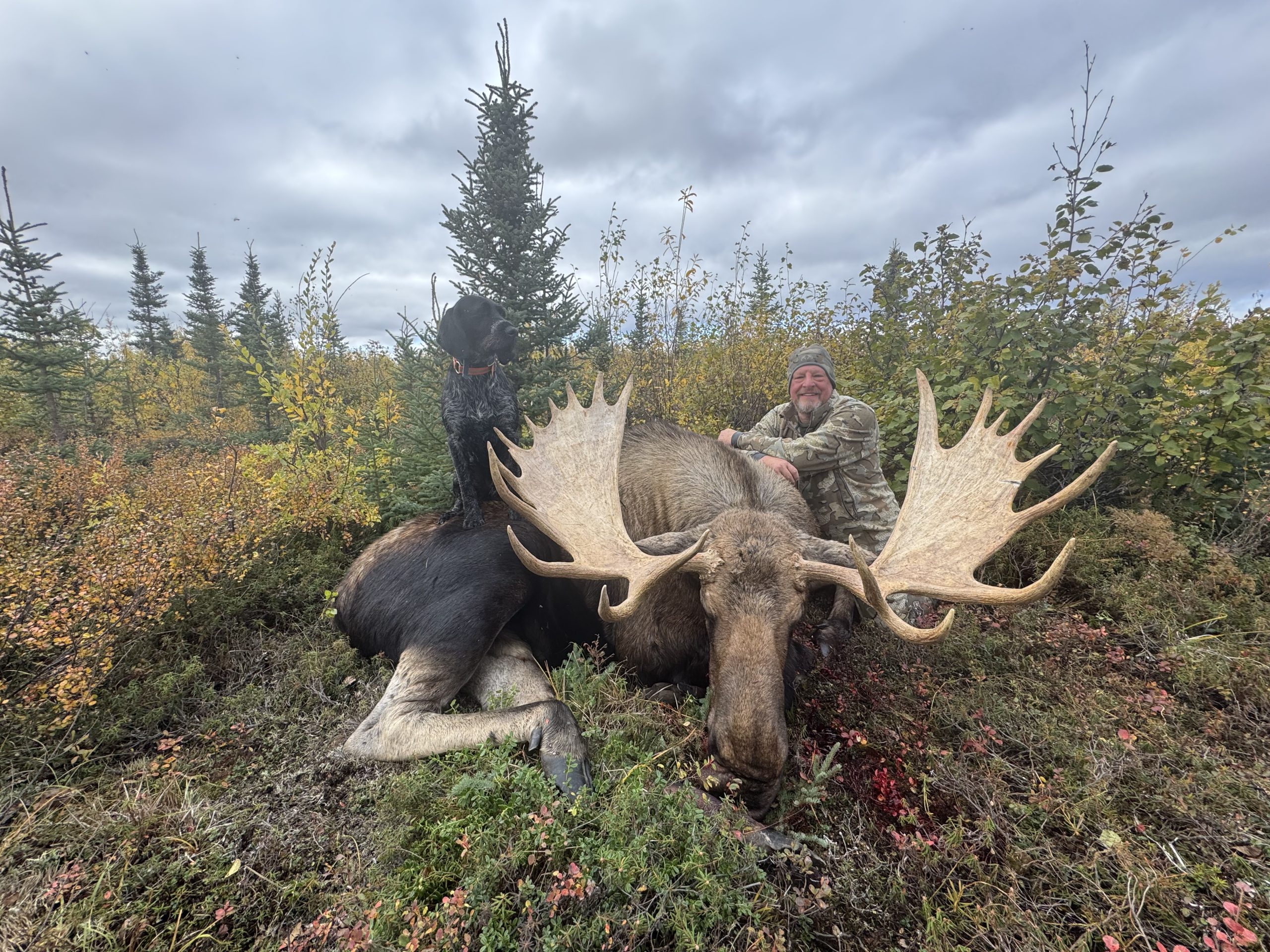 Gallery - Alaska Rampage