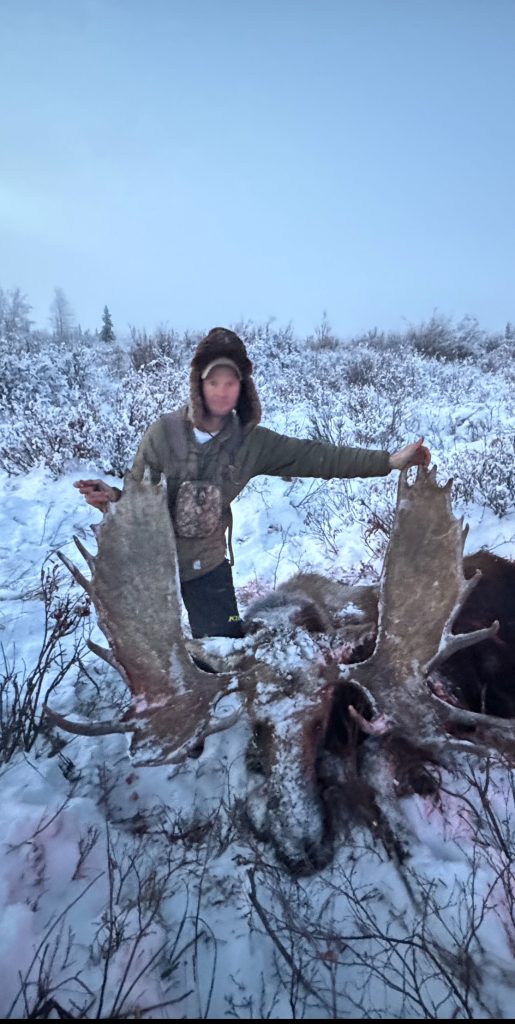 Alaska Range Moose - Alaska Rampage